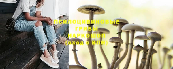 mdpv Армянск