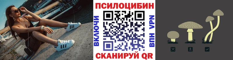 мориарти телеграм  Белая Холуница  Псилоцибиновые грибы Magic Shrooms  купить  сайты 